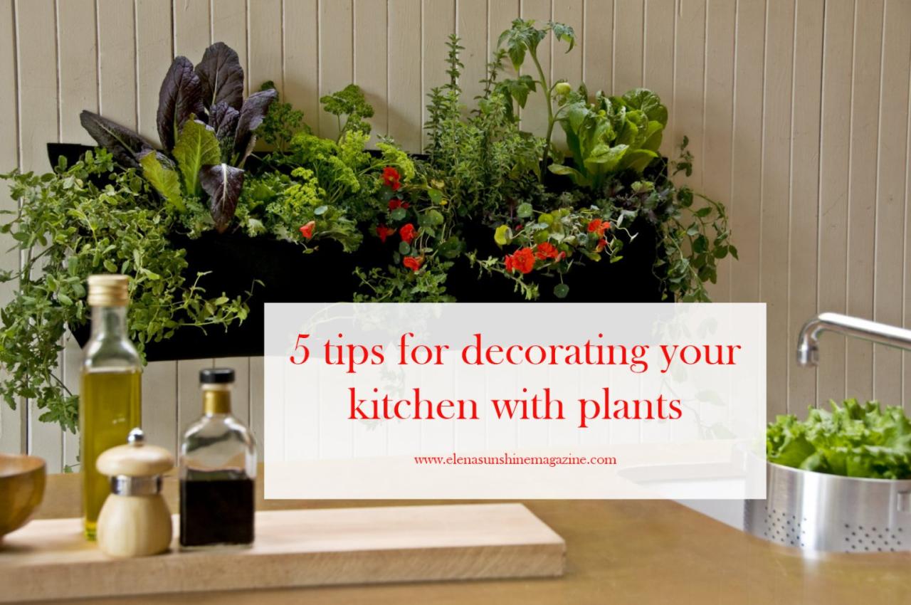 How to Decorate Your Kitchen With Common Houseplants