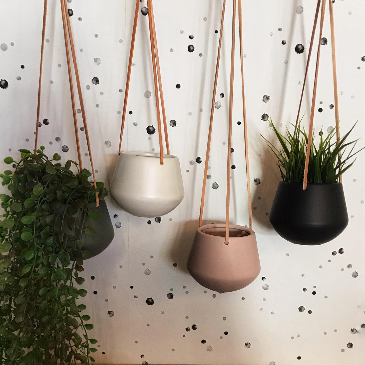 The Best Eco-Friendly Pots for Hanging Plants