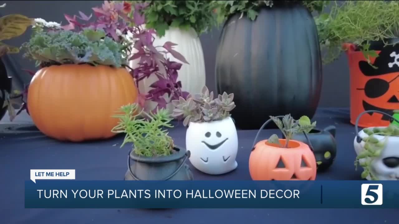 How to Turn Your Houseplants Into Halloween Creatures